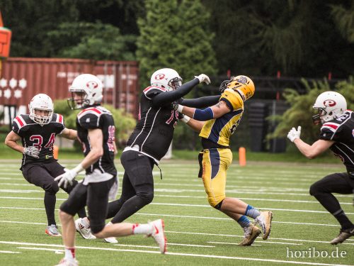 HR-17-07-29-16-01-42-1883