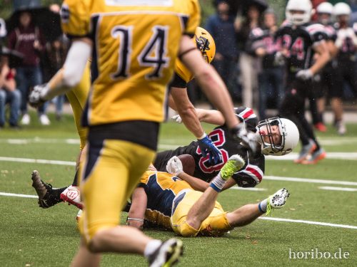 HR-17-07-29-16-04-07-1894