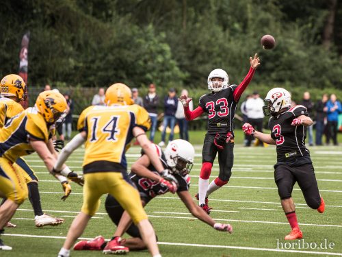 HR-17-07-29-16-09-34-1906