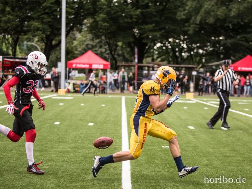 HR-17-07-29-16-10-44-1910