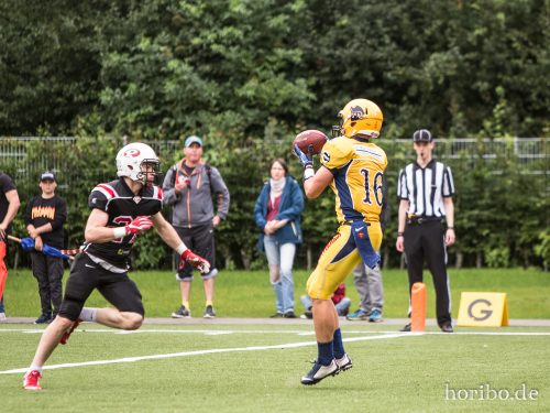 HR-17-07-29-16-25-40-1942