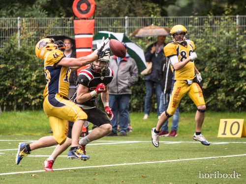 HR-17-07-29-16-39-04-1954