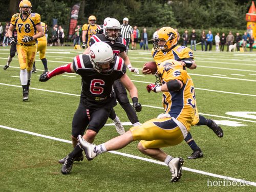 HR-17-07-29-16-49-01-1983