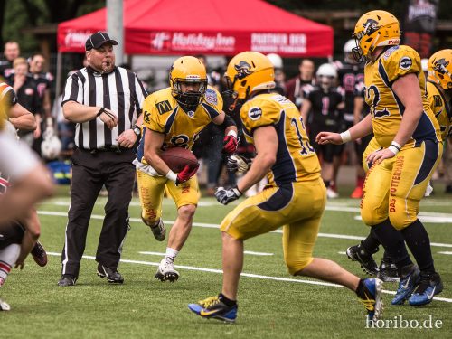 HR-17-07-29-16-50-57-1993