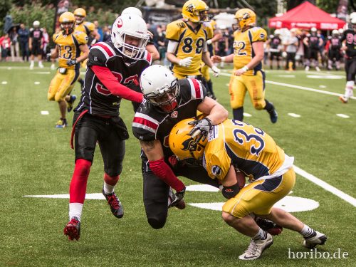 HR-17-07-29-16-51-00-2009