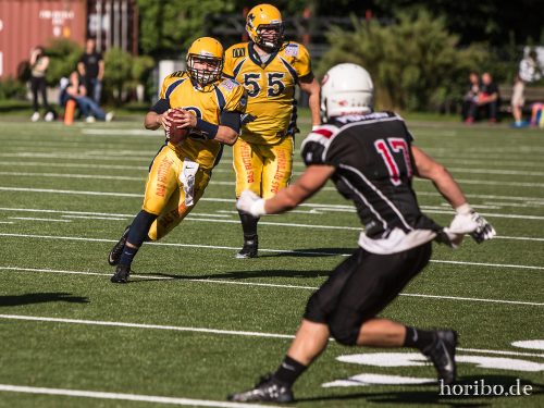 HR-17-07-29-17-25-41-2074