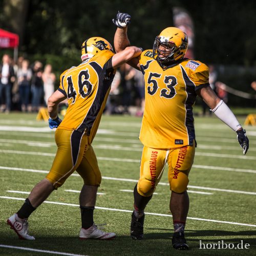 HR-17-07-29-17-28-08-2092