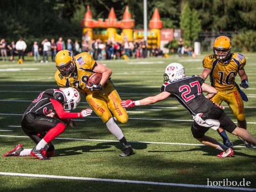 HR-17-07-29-17-30-36-2110