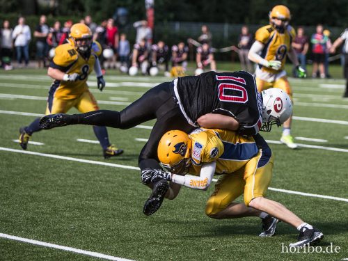 HR-17-07-29-17-34-56-2133