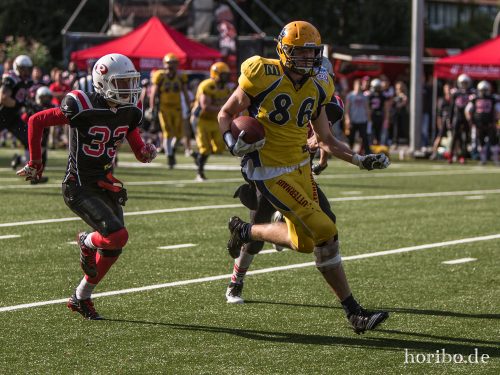 HR-17-07-29-18-00-28-2171