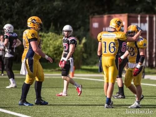 HR-17-07-29-18-01-22-2205