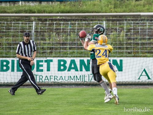 HR-17-08-06-15-36-52-2339