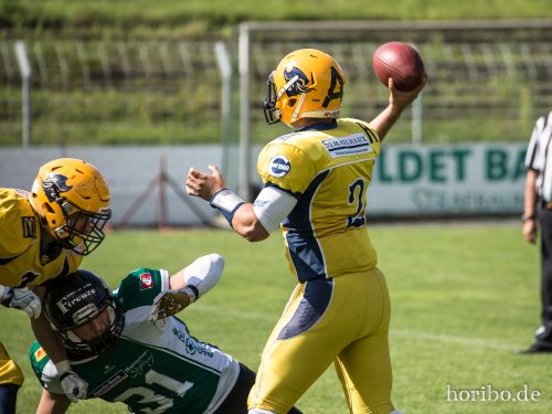 HR-17-08-06-15-49-59-2354