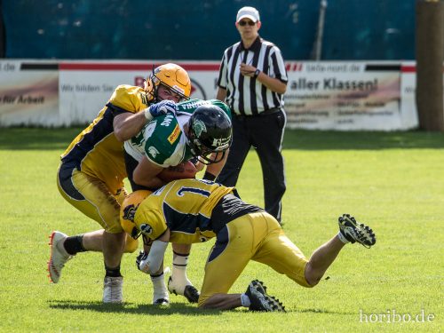 HR-17-08-06-16-01-28-2366