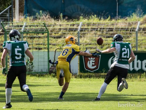 HR-17-08-06-16-10-33-2401