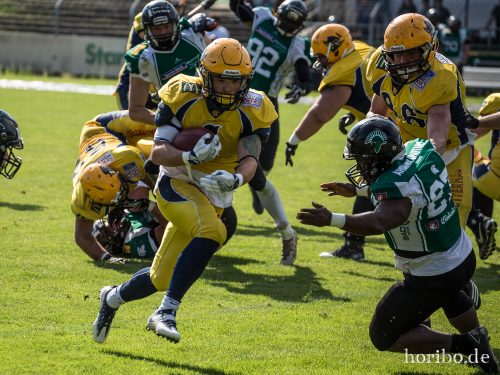 HR-17-08-06-16-50-42-2438