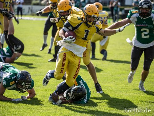 HR-17-08-06-16-50-42-2440