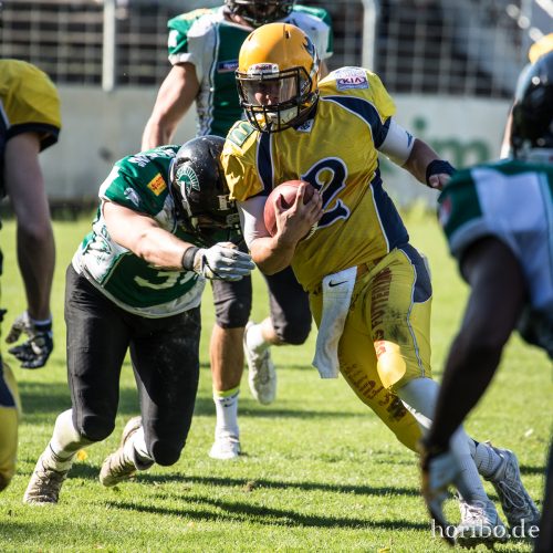 HR-17-08-06-17-18-07-2492