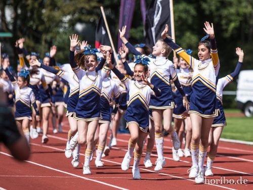 HR-17-08-19-14-46-26-2934