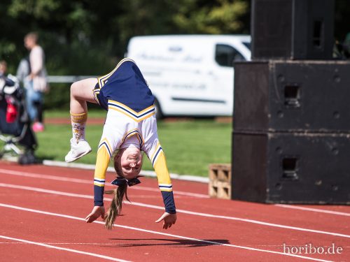 HR-17-08-19-14-46-42-2963