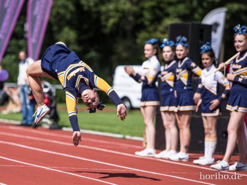 HR-17-08-19-14-47-29-3018