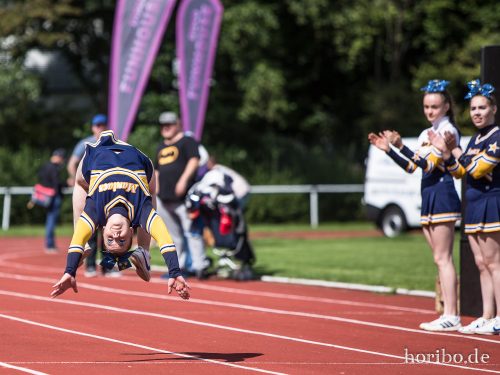 HR-17-08-19-14-47-35-3029