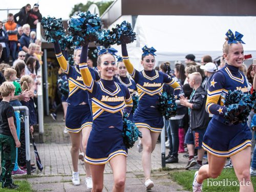 HR-17-08-19-14-56-18-3095