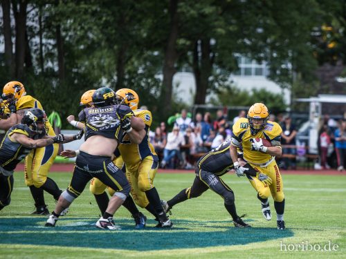 HR-17-08-19-15-11-13-3197