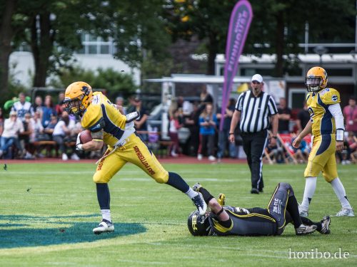 HR-17-08-19-15-11-13-3199