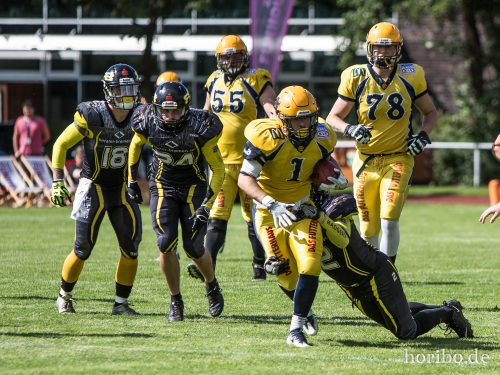 HR-17-08-19-15-21-12-3244