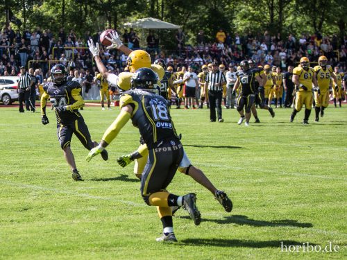 HR-17-08-19-15-24-04-3270