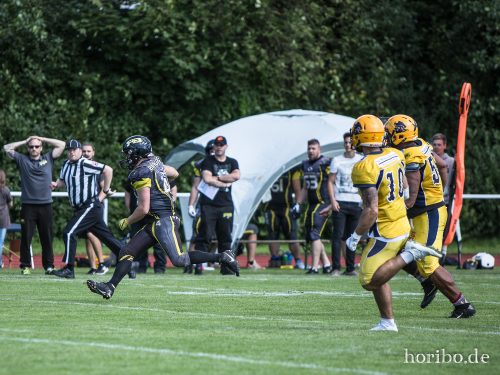 HR-17-08-19-15-30-41-3295