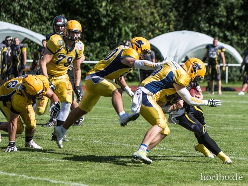 HR-17-08-19-15-33-56-3320