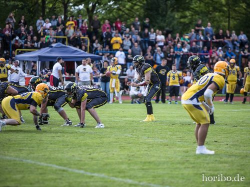 HR-17-08-19-16-03-02-3437