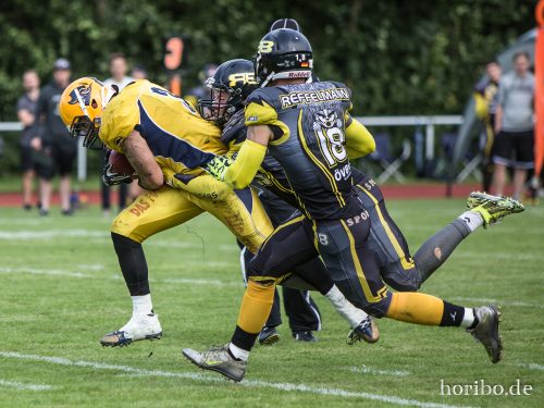 HR-17-08-19-16-38-29-3505