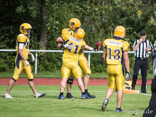 HR-17-08-19-16-39-16-3525