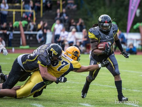 HR-17-08-19-16-42-25-3560