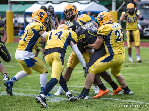 HR-17-08-19-16-44-14-3574