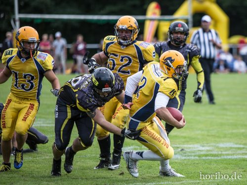 HR-17-08-19-16-48-08-3587