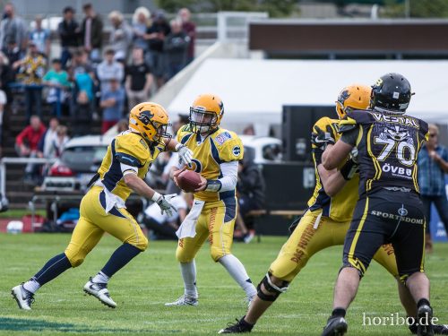 HR-17-08-19-16-51-23-3599