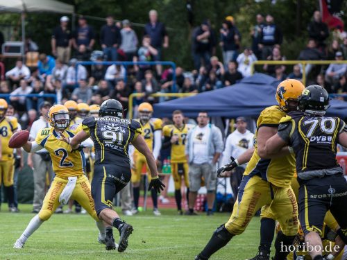 HR-17-08-19-16-52-51-3609