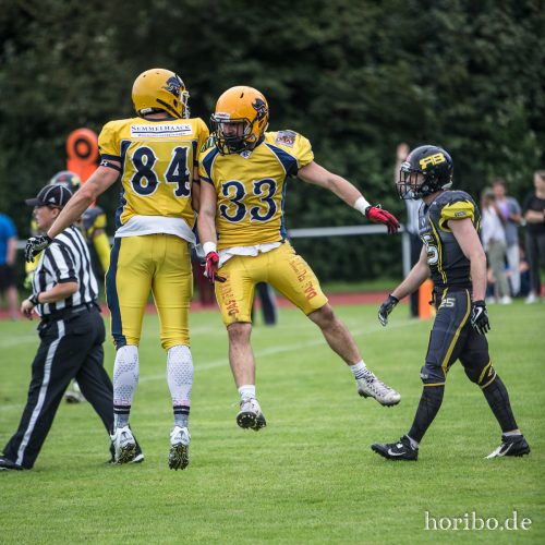 HR-17-08-19-17-05-04-3676