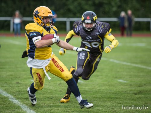 HR-17-08-19-17-13-45-3723