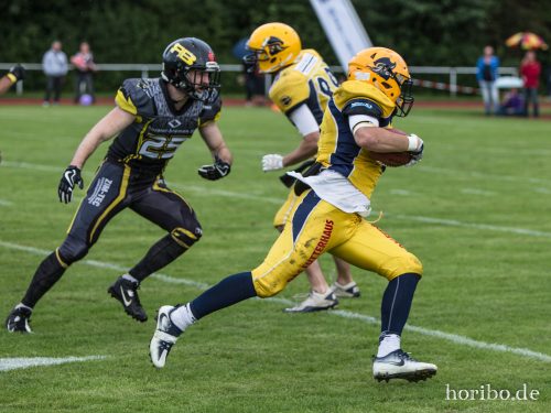 HR-17-08-19-17-13-46-3727