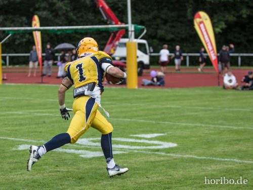 HR-17-08-19-17-13-46-3730