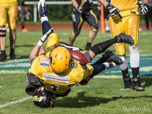 HR-17-08-19-17-31-56-3809