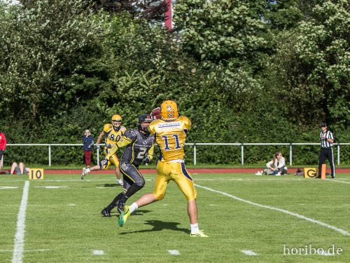 HR-17-08-19-17-34-50-3820