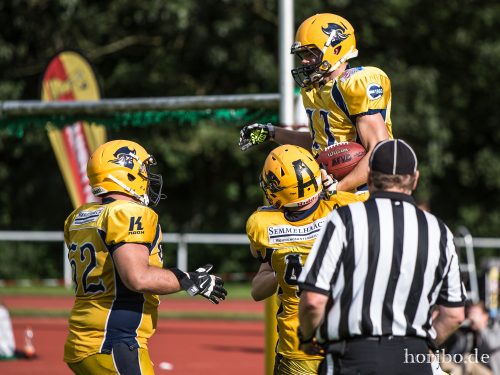 HR-17-08-19-17-35-00-3841