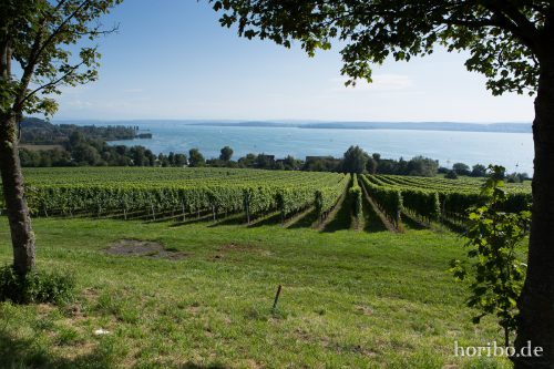 HR-17-08-23-16-37-54-4040