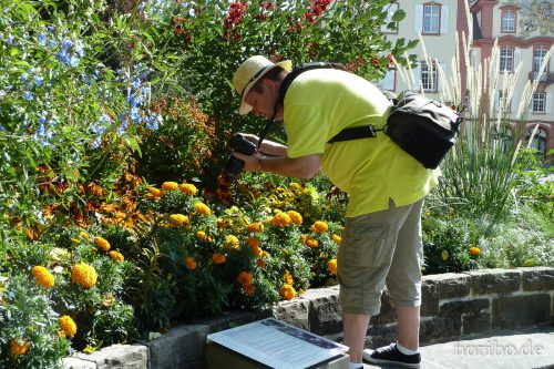 HR-17-08-24-11-44-19-1030805